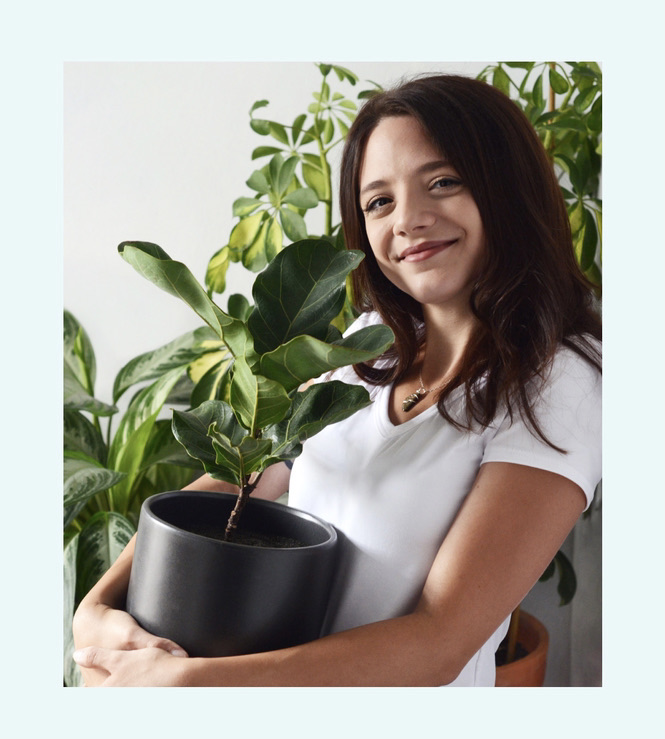 Houseplants 101 with The Sill